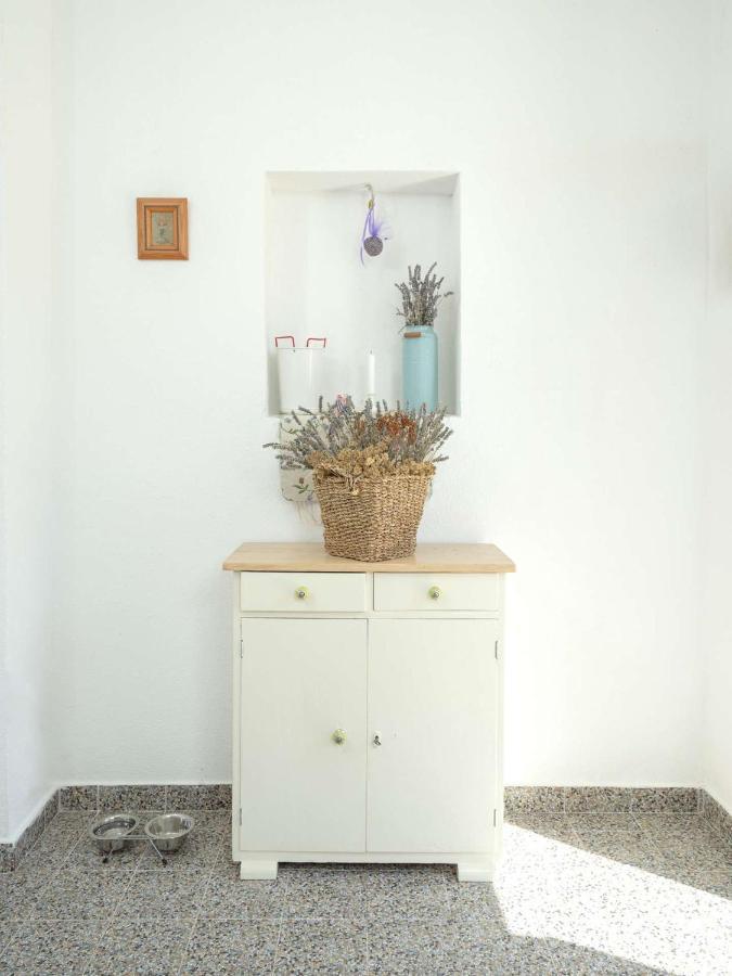 Casa vacanze Lavender Dreams Hvar