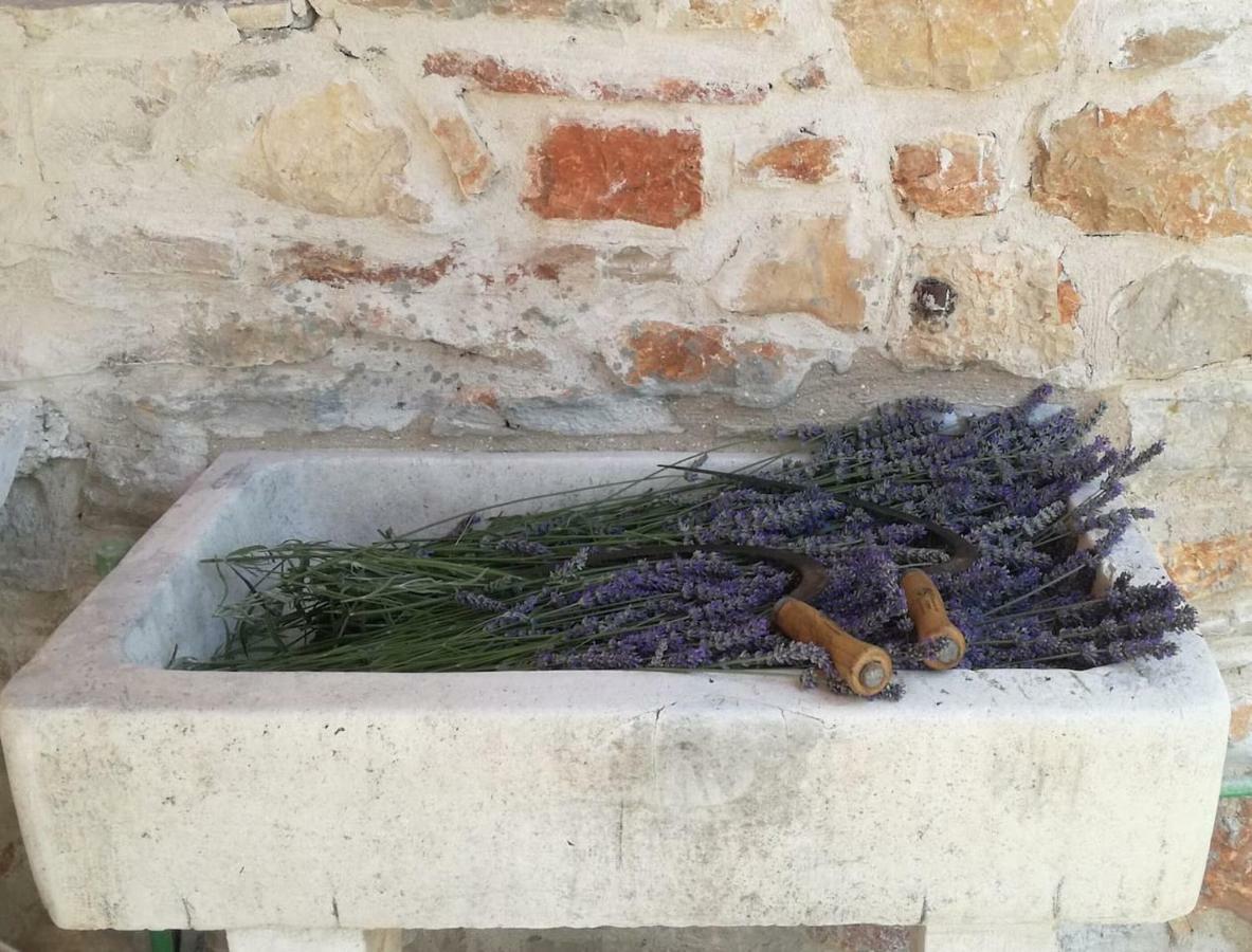Lavender Dreams Hvar Casa vacanze